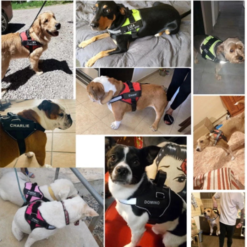 Arreios Para Animais De Estimação Personalizados Cães Colete Refletivo Respirável Ajustável Pequenos E Grandes Sem Acessórios FAVariedades