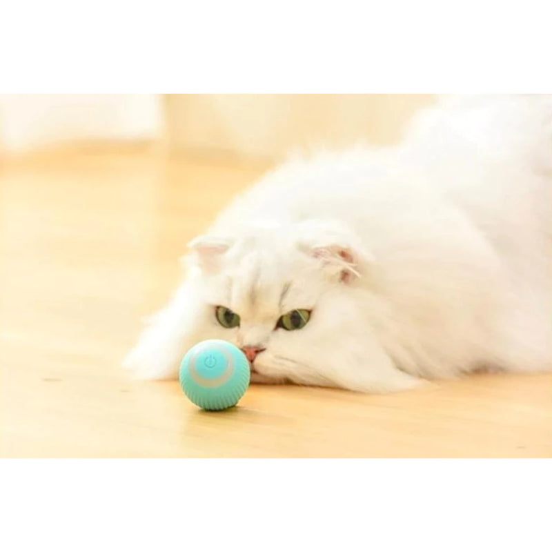 Bolinha Brinquedo Bola Pets Gato Cachorro Eletrônica Interativo Para Gatos Brincarem Sozinhos shopee