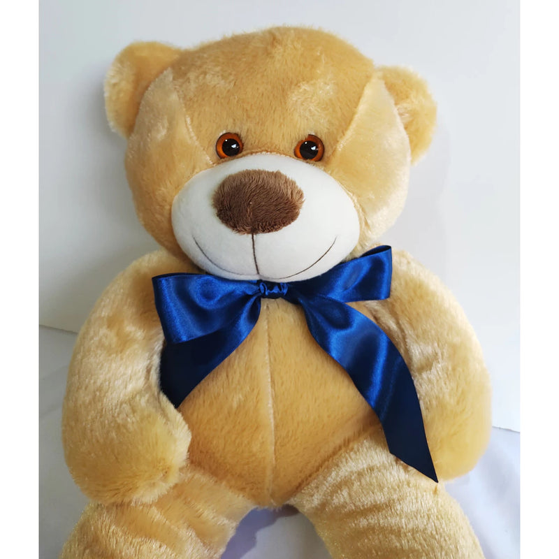 Urso de Pelúcia Teddy Macio Fofinho Antialérgico Grande 50 cm Sentado Várias Cores shopee