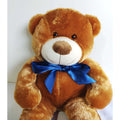 Urso de Pelúcia Teddy Macio Fofinho Antialérgico Grande 50 cm Sentado Várias Cores shopee