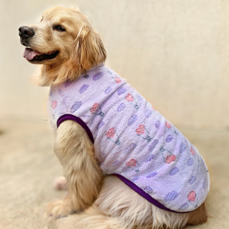 Roupa pet para cachorros AG FAVariedades