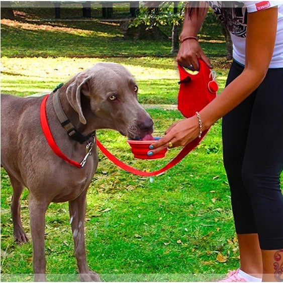 Coleira Guia Multifunção Porta Agua E Sacola Passeio Pet Cachorro Gatos Cores Preto Azul Vermelho FAVariedades