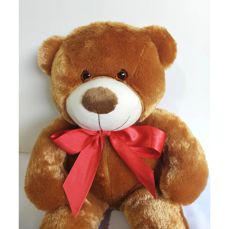 Urso de Pelúcia Teddy Macio Fofinho Antialérgico Grande 50 cm Sentado Várias Cores shopee