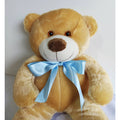 Urso de Pelúcia Teddy Macio Fofinho Antialérgico Grande 50 cm Sentado Várias Cores shopee