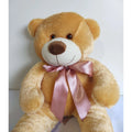 Urso de Pelúcia Teddy Macio Fofinho Antialérgico Grande 50 cm Sentado Várias Cores shopee