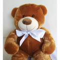 Urso de Pelúcia Teddy Macio Fofinho Antialérgico Grande 50 cm Sentado Várias Cores shopee