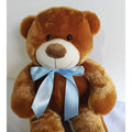 Urso de Pelúcia Teddy Macio Fofinho Antialérgico Grande 50 cm Sentado Várias Cores shopee