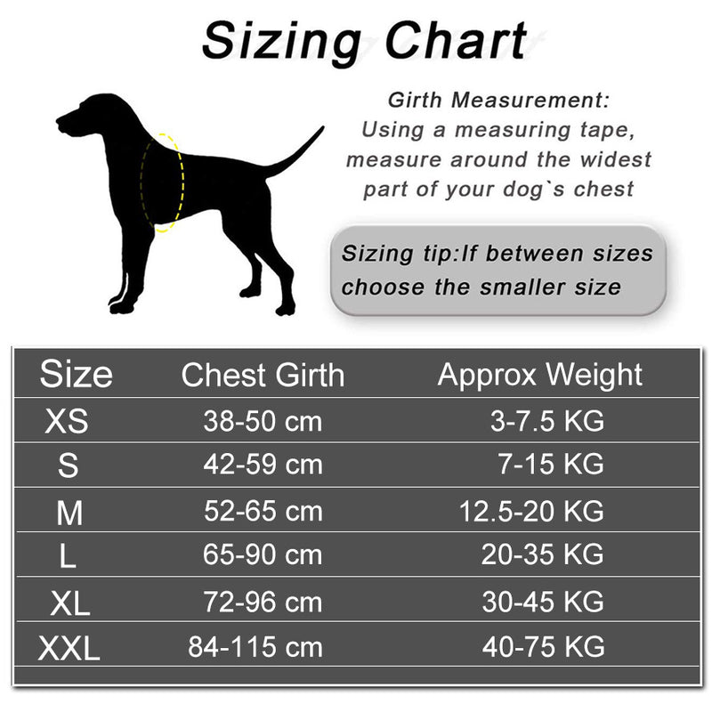 Arreios Para Animais De Estimação Personalizados Cães Colete Refletivo Respirável Ajustável Pequenos E Grandes Sem Acessórios FAVariedades