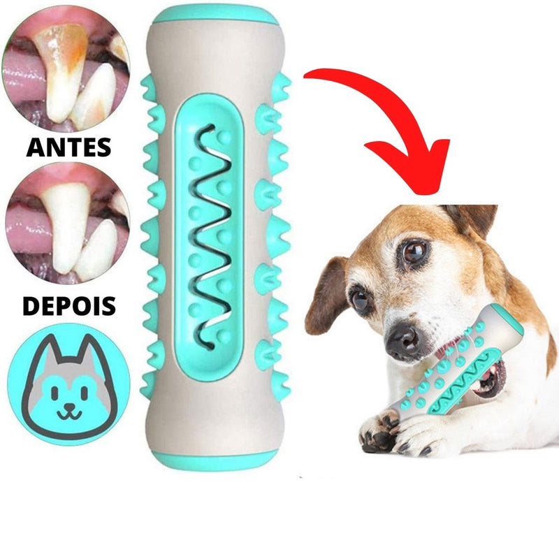 Brinquedo Pet 3x1 Mordedor Osso Massageador Gengiva Removedor Tártaros Escova de Dente Para Cachorro Cão Pets FAVariedades