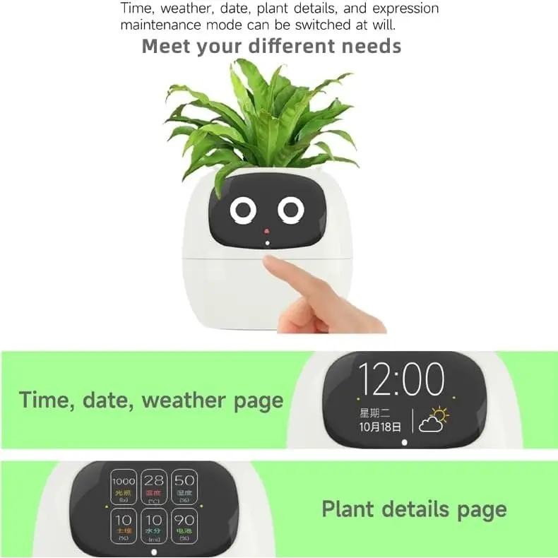 Pote Inteligente Para Planta Pequeno De Flores Ivy Desktop Green Plant Permite Suas Plantas Expressar Emoções FAVariedades