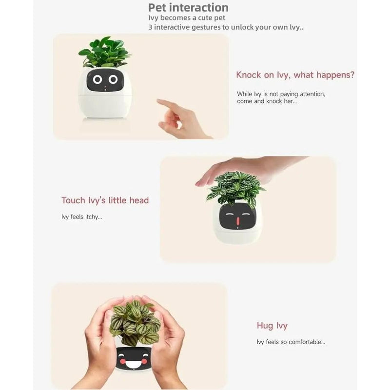 Pote Inteligente Para Planta Pequeno De Flores Ivy Desktop Green Plant Permite Suas Plantas Expressar Emoções FAVariedades