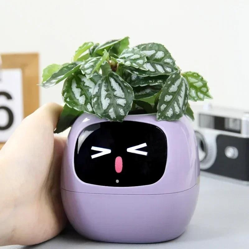 Pote Inteligente Para Planta Pequeno De Flores Ivy Desktop Green Plant Permite Suas Plantas Expressar Emoções FAVariedades