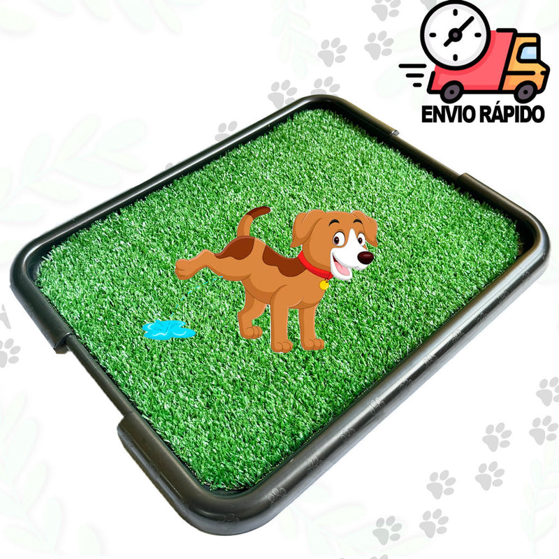 Sanitário Grama Canino + Educador canino Xixi Dog Banheiro Pet Tapete Higiénico Cachorro FAVariedades