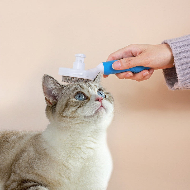 Escova Removedora Tira Pelos Dos Pets Cães E Gatos My Store